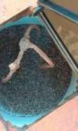 Sistema aterramento SPDA Sistema aterramento SPDA